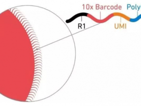 单细胞转录组测序的常用方法