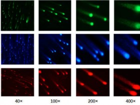 彗星实验全线产品,带你来看“彗星雨”!