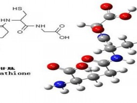 谷胱甘肽测定的意义和方法