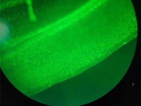 免疫荧光(IF)怎么做才能让图片更出彩?