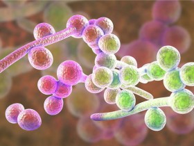 系列二:Norgen的人真菌/原生动物病原体检测试剂盒