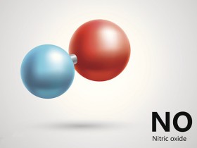 代谢专栏|如何快速选择一氧化氮(NO)检测试剂盒?