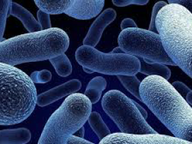 系列一:Norgen的人细菌/酵母病原体检测试剂盒