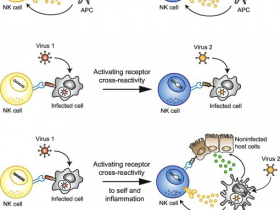 抗病毒研究蛋白,抗体,试剂盒产品“大全”,助力科研!