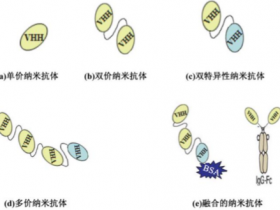 纳米抗体又有新玩法