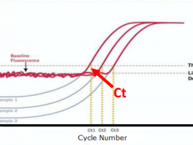 实时荧光定量PCR技术:染料法VS探针法