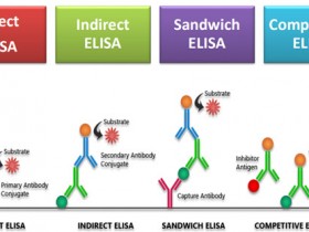 食品安全检测,Elisa试剂盒怎么选?