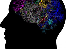 Biosensis的神经肽及其受体研究相关抗体