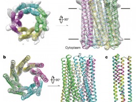 生物评论周报第133期:Nature:世界上首次实现跨膜孔蛋白的精确从头设计