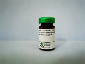 辣根过氧化物酶HRP标记亲和纯化山羊抗小鼠IgG（H+L）二抗（115-035-003）解决方案
