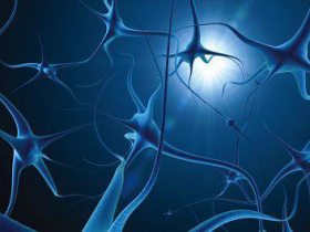 “新品尝鲜”:鉴定退化神经元的Fluoro-Jade B和Fluoro-Jade C