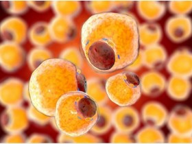 脂质过氧化研究方案:TBARS(硫代巴比妥酸反应物)试剂盒