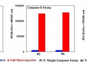 Caspases酶系列2:酶活性检测试剂盒解决方案