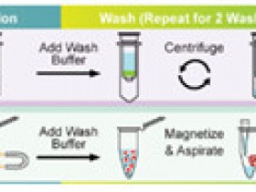病毒RNA m6A修饰—病毒RNA分离快速试剂盒解决方案