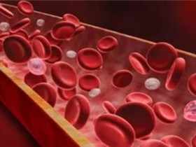 Norgen畅销全血样品中游离cf-DNA和cf-RNA保存管,力荐~