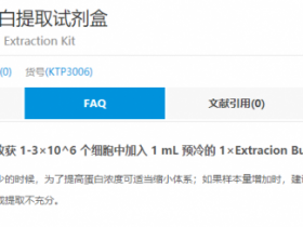 蛋白提取丨Abbkine Exkine™总蛋白提取试剂盒解决方案