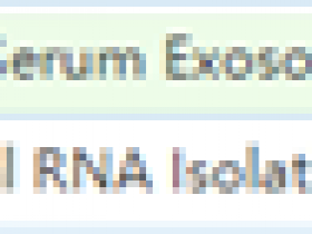 生物科研产品千千万,选对产品坑坑洼洼少一半