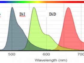 Di系列染料探针丨DiI, DiO, DiD 和 DiR探针解决方案