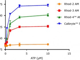 钙离子荧光探针常见问题汇总