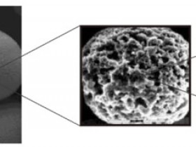 琼脂糖珠PK磁珠,还在傻傻分不清楚?