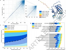 Nature Biotechnology:AlphaFold2预测出98.5%的人类蛋白结构