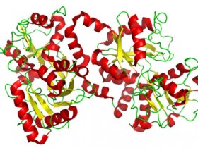 乳铁蛋白检测丨多种属乳铁蛋白ELISA试剂盒方案大放送
