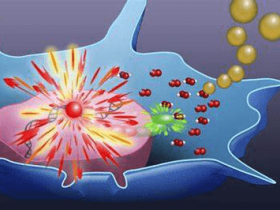总抗氧化能力（TAC）检测，Cell Biolabs试剂盒助力科研！