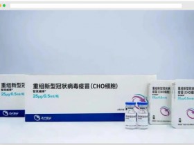 如何高效快捷的定量CHO细胞中HCP含量?HCP定量试剂盒有答案!