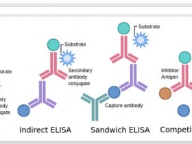 MyBioSource超全实验物种ELISA试剂盒解决方案