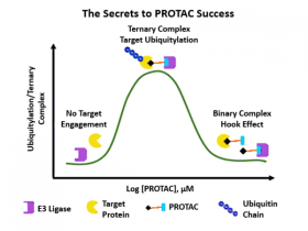 PROTAC技术——连接靶蛋白和E3连接酶的小便签