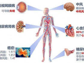 Crystal Chem告诉你:高品质糖尿病研究试剂盒有哪些特点?