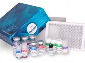 S-亚硝化蛋白检测试剂盒丨Nature等高分杂志引用