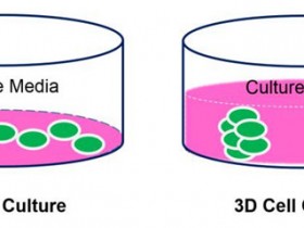 【重磅推荐】MyBioSource 3D细胞培养试剂盒方案