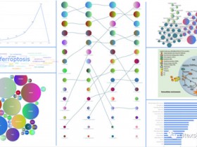 实验室组会上,我“艳”压群雄的秘密,Citexs