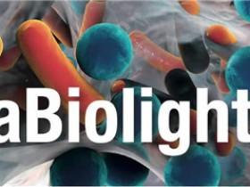 细菌污染/生物膜检测，就用EbbaBiolight！