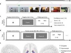 生物评论周报201期：Nature Neuroscience人类大脑如何分离、储存和提取记忆