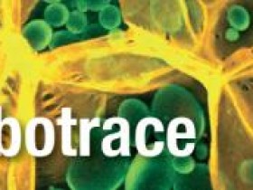 Ebba Biotech超强荧光示踪剂——CarbotraceTM 680!