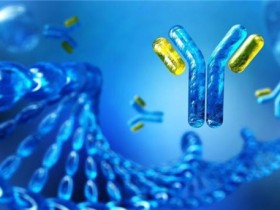 【IDK爆款】常见单抗类药物与抗药物抗体(ADA)检测试剂盒