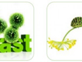 G-Biosciences全样本类型总蛋白提取试剂盒方案