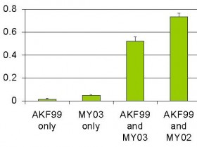 Cytoskeleton热销前体肌动蛋白丝(兔骨骼肌)生物活性测定