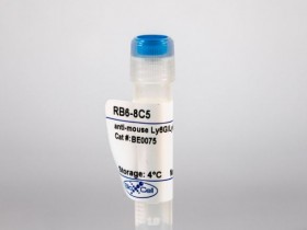 BioXCell 体内单克隆抗体抗小鼠 Ly6G/Ly6C（Gr-1）助力科研