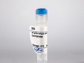 BioXCell 体内MAb大鼠IgG2a同种型对照，抗三硝基苯酚解决方案