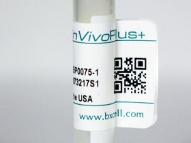 BioXCell 体内加大反鼠标Ly6G（BP0075-1）解决方案
