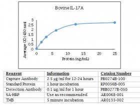 Kingfisher 牛 IL-17A 多克隆抗体 - 生物素化PBB0277B-050热销中