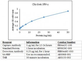 Kingfisher 鸡干扰素γ多克隆抗体PB0442C-100说明书