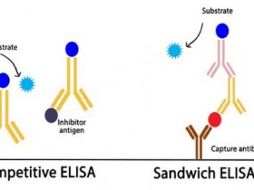 Reddot Biotech-夹心法ELISA和竞争法ELISA检测试剂盒