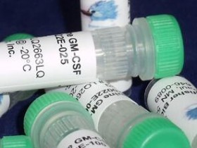 Kingfisher热销产品马 GM-CSF 重组蛋白RP0022E-100说明书