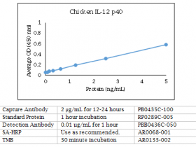Kingfisher热销产品鸡 IL-12 p40 多克隆抗体说明书