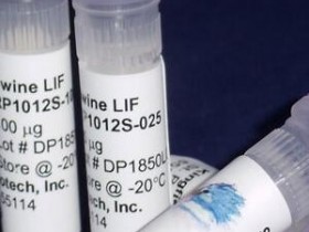 Kingfisher热销产品猪LIF重组蛋白RP1012S-100说明书