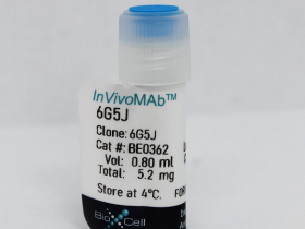 体内单克隆抗体抗人CEACAM 1/3/5/6/8